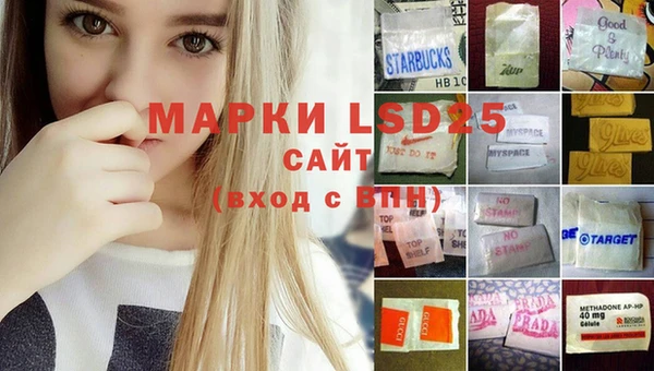 ПСИЛОЦИБИНОВЫЕ ГРИБЫ Армянск